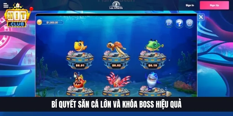Bí quyết săn cá lớn và khóa boss hiệu quả
